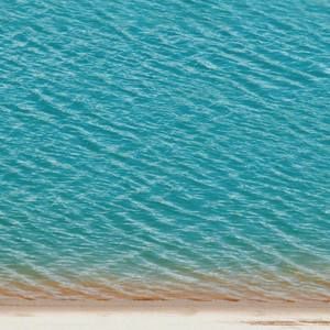 Meet your Posher, Maxine